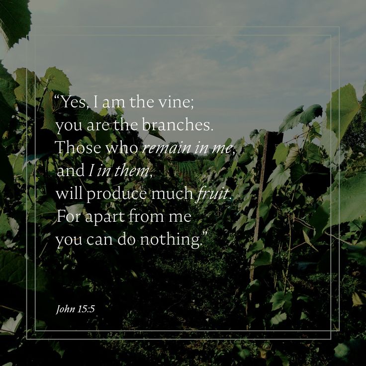 What Does It Mean to Be Rooted in Christ?