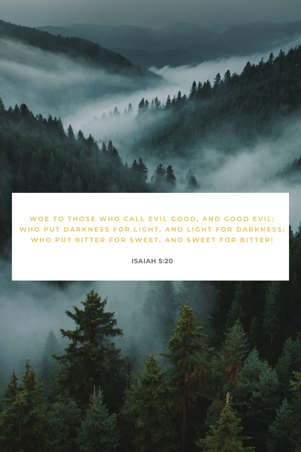 When We Rename What God Calls Sin
